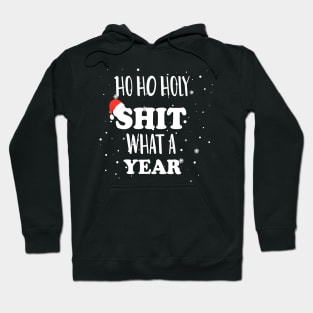 Ho Ho Holy Shit What A Year - Funny Christmas Gift 2020 Hoodie